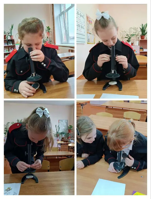 photo_2024-02-06_14-02-48 (3)