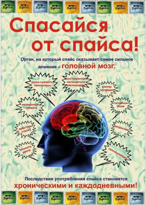 Спасайся от спайса.jpg